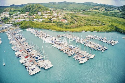 Elégant T3 - Les terrasses du Marin