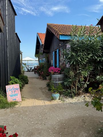 photo no. 11