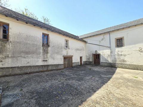 photo no. 3