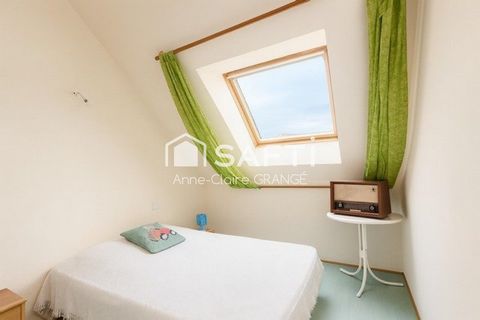 photo no. 11