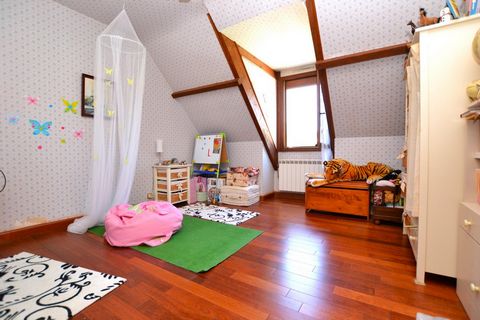 photo no. 11