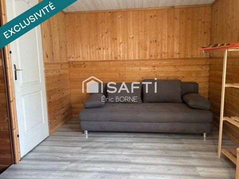 photo no. 6