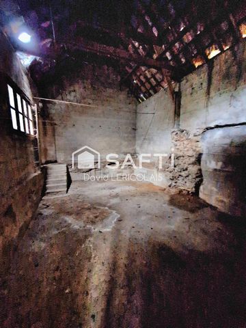photo no. 17