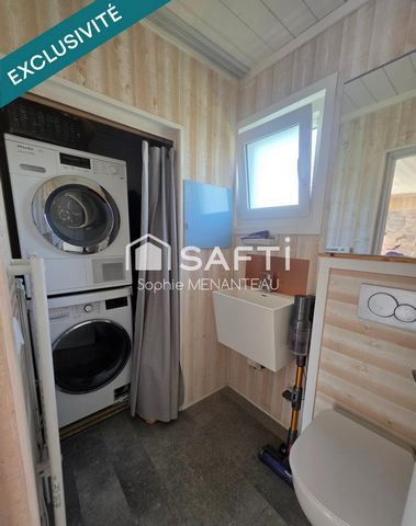 photo no. 16