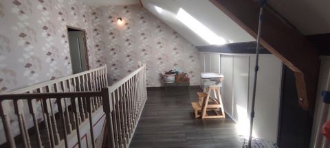 photo no. 11