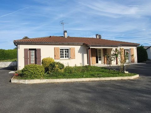 photo no. 9