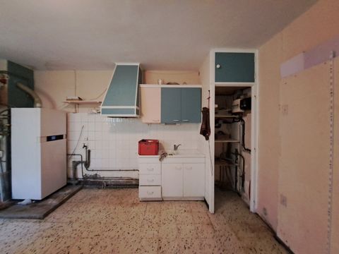 photo no. 12