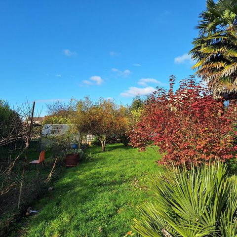 photo no. 10
