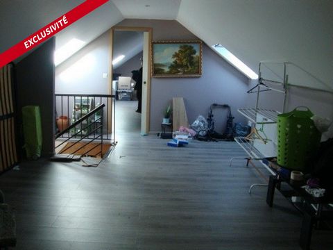 photo no. 7
