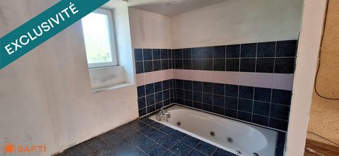 photo no. 11