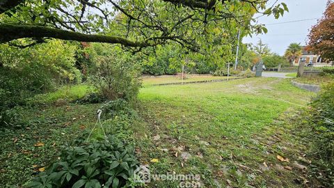 photo no. 17