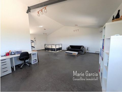 photo no. 13
