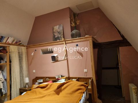photo no. 11