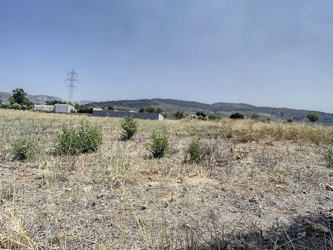 Lieu exclusif loin de toute sorte de bruit et de rythme trépidant, terrain situé dans les jardins de la rivière Archidona d'une capacité de 1000M2 idéal pour les personnes à la recherche d'une résidence secondaire à concevoir au goût et au repos. À s...