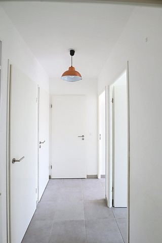 photo no. 5