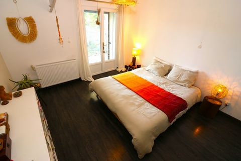 photo no. 7