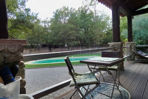 photo no. 8