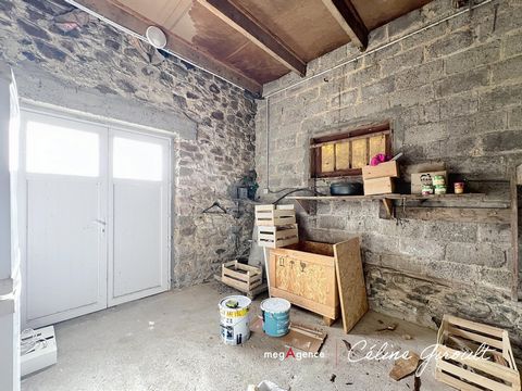 photo no. 14