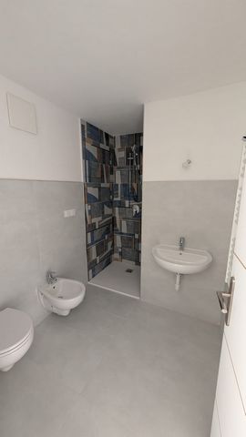 photo no. 10