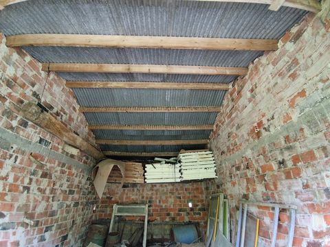 photo no. 4