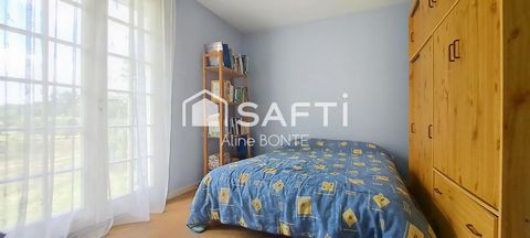 photo no. 6