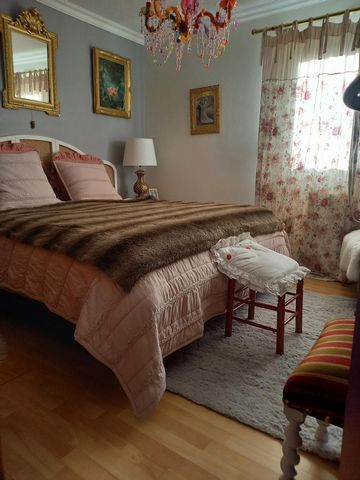 photo no. 12