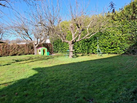 photo no. 13