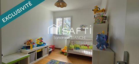 photo no. 8