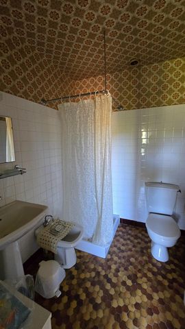 photo no. 10