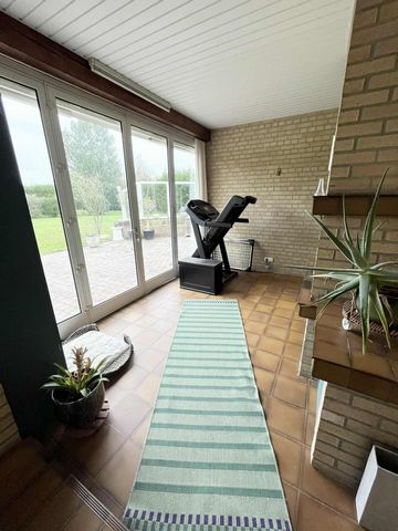 photo no. 18