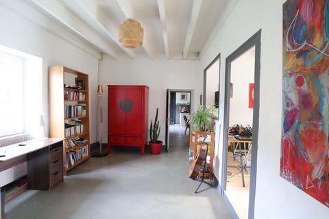 photo no. 6