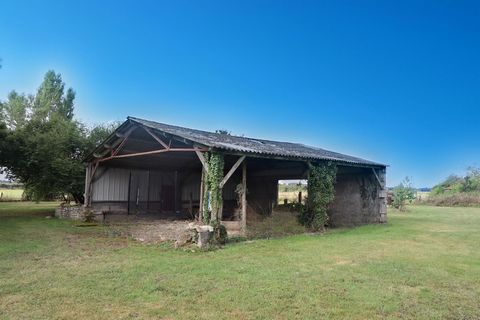 photo no. 15