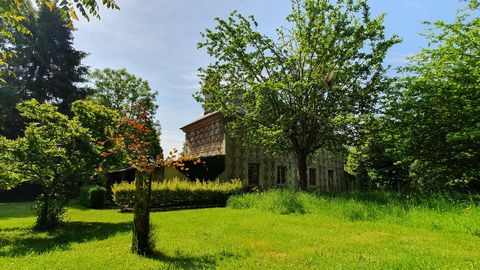 photo no. 2