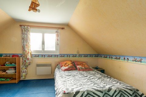 photo no. 10