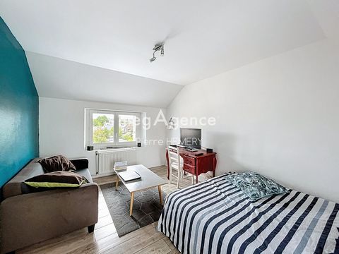 photo no. 9