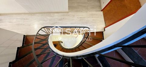 photo no. 11