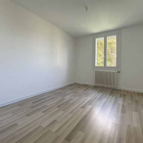 photo no. 7