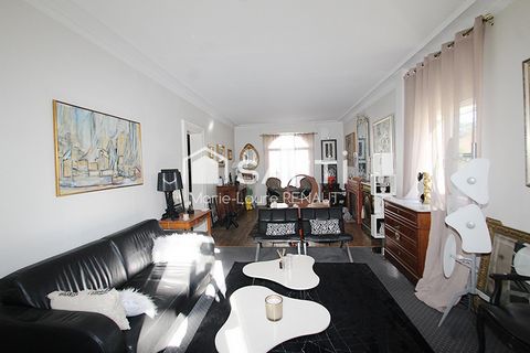 photo no. 7