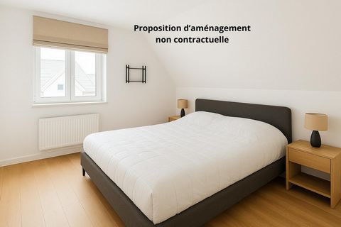 photo no. 7