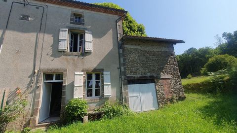 photo no. 2