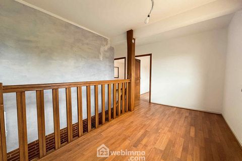 photo no. 11
