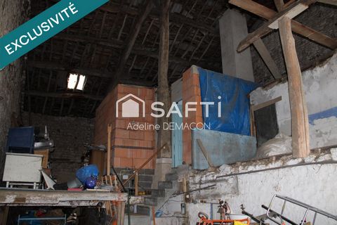 photo no. 9
