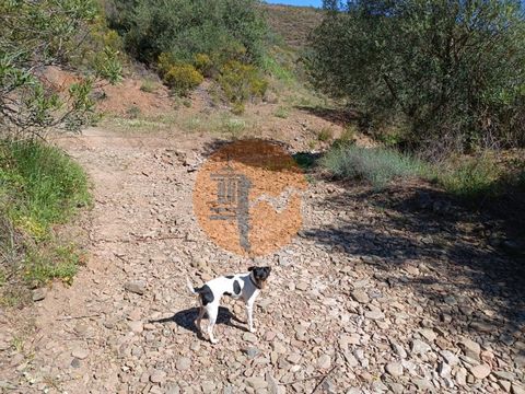 Rustic Land with 22.760 m2 in Brenhosa - Odeleite - Castro Marim - Algarve. Land with slope. Near the dam of Odeleite. Water line. With well. With panoramic views over the Algarve hills. A water line runs through the plot. Some trees. Flat part for c...