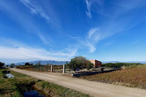 Capricious rustic property with cottage and totally fenced just 50 meters from the emblematic municipality of POBLE NOU DEL DELTA. The recently built house is distributed in kitchen / dining room, 1 bedroom and 1 bathroom and a small warehouse. There...