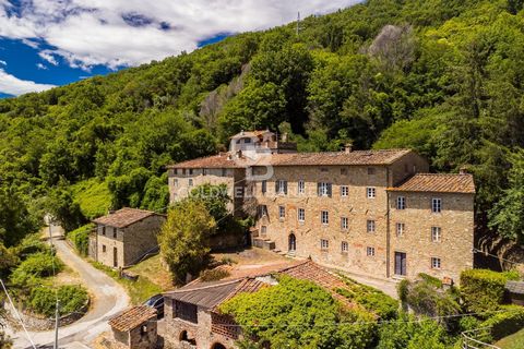Immersed in the greenery of the Lucca hills in the Quaranta area, in the splendid hamlet of Cappella, we offer an exclusive real estate complex consisting of two main stone buildings, with wooden floors with beams and rafters accompanied by three sma...