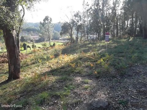 Land with feasibility of construction, well located... Just five minutes from São João da Madeira, housing area, quiet and quiet. Make an already visit. Impact, your real estate. Why buy with Impacto? We are specialists in the real estate market. - O...