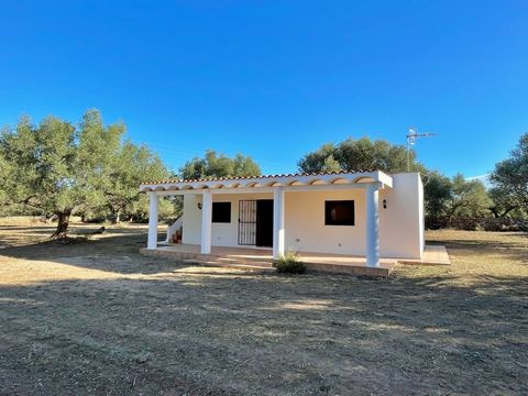 Villa located in the area of Tivenys. At 10 minutes from Tortosa. It is distributed in 2 bedrooms, a complete bathroom and a living-dining room with a spacious kitchen. It has a totally flat plot of olive trees of 4.160m2 of surface.