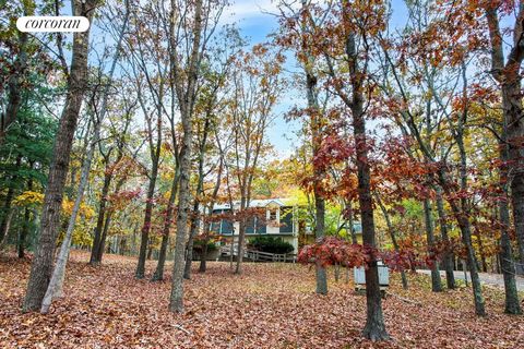 Nestled amidst lush greenery and towering trees, this property boasts the ideal combination of tranquility and convenience. Boasting a versatile layout and set against a backdrop of lush woodland. Key Features: Dual Spaces: Featuring a recreation roo...