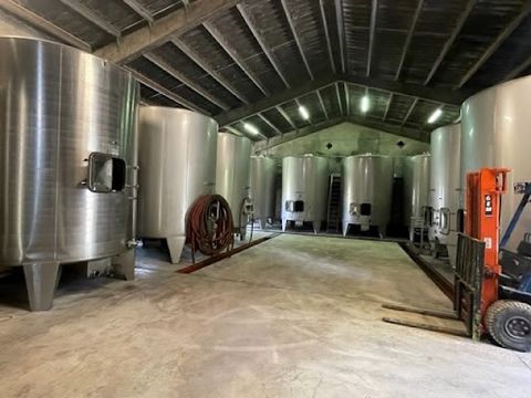 Near the town of Moulis, a vineyard property of 18 hectares, with 16 hectares of vineyards on a cool terroir dominated by clay over a limestone and sand subsoil. The cultivation is carried out in a reasoned manner with regular supplements. The operat...