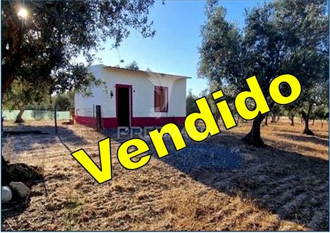 Small property, of 11,500 m2 , very well located and very abonada, this property has a house where the agricultural implements were stored, but that with the passage of time this is transforada in a kitchen / living room -bedroom (studio), as you can...